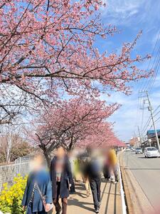 202602.sakura.04.jfif.jpg