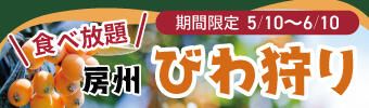 食べ放題房州びわ狩り