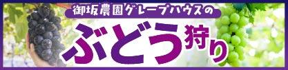 富士忍野・山中湖_ぶどう狩り