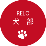 犬部