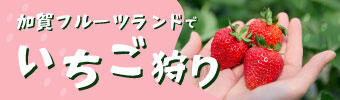 加賀山中いちご狩り