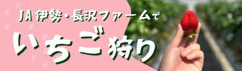 いちご狩り体験