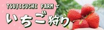 TSUJIGUCHI FARMでいちご狩り