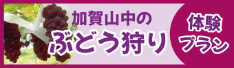 加賀山中ぶどう狩り