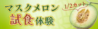 メロン試食体験