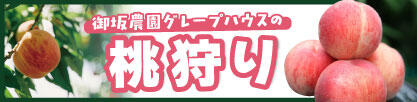 富士忍野・山中湖_桃狩り