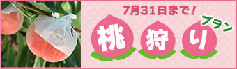 桃狩り