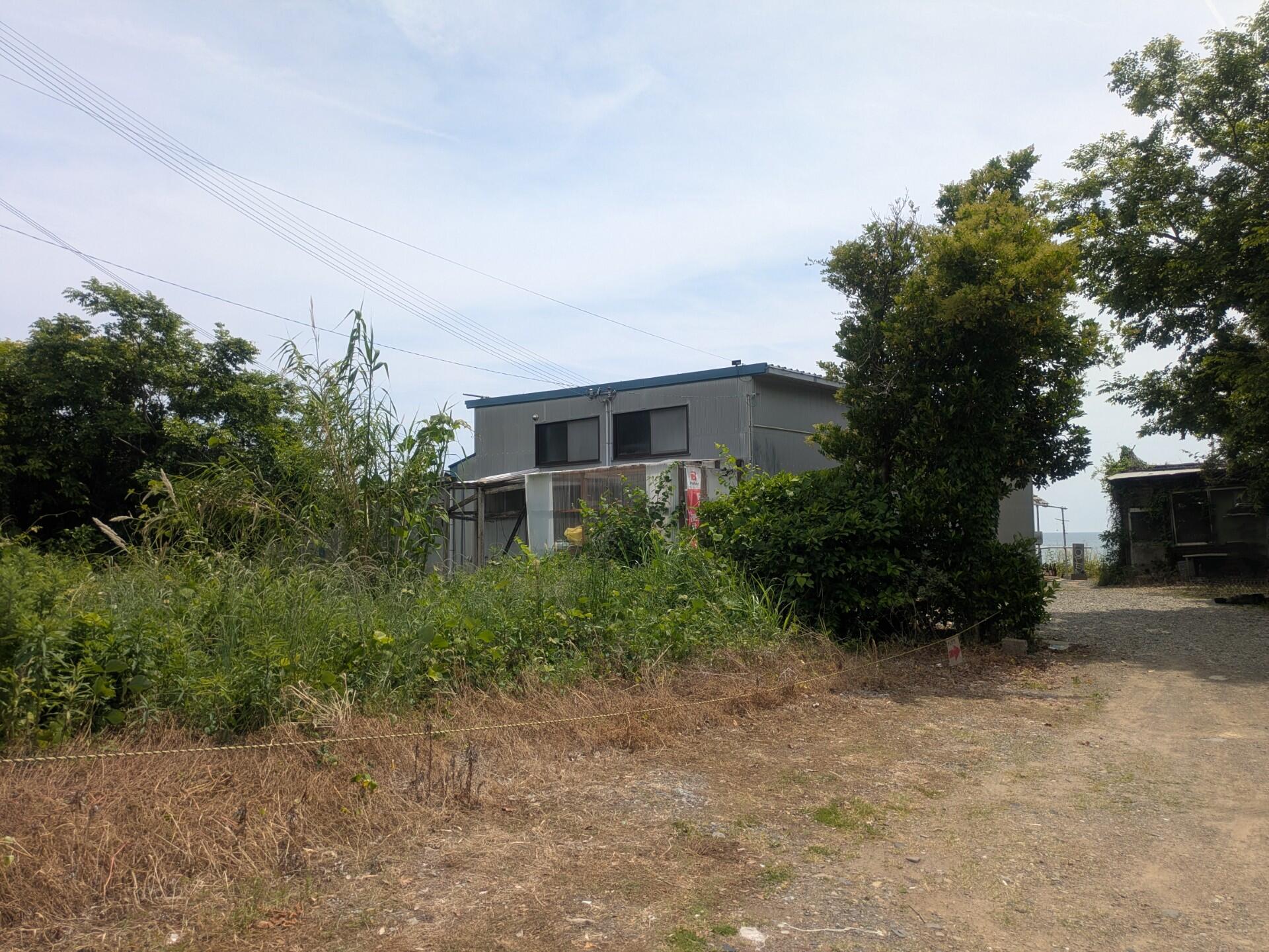 20250601_kakure03.jpg