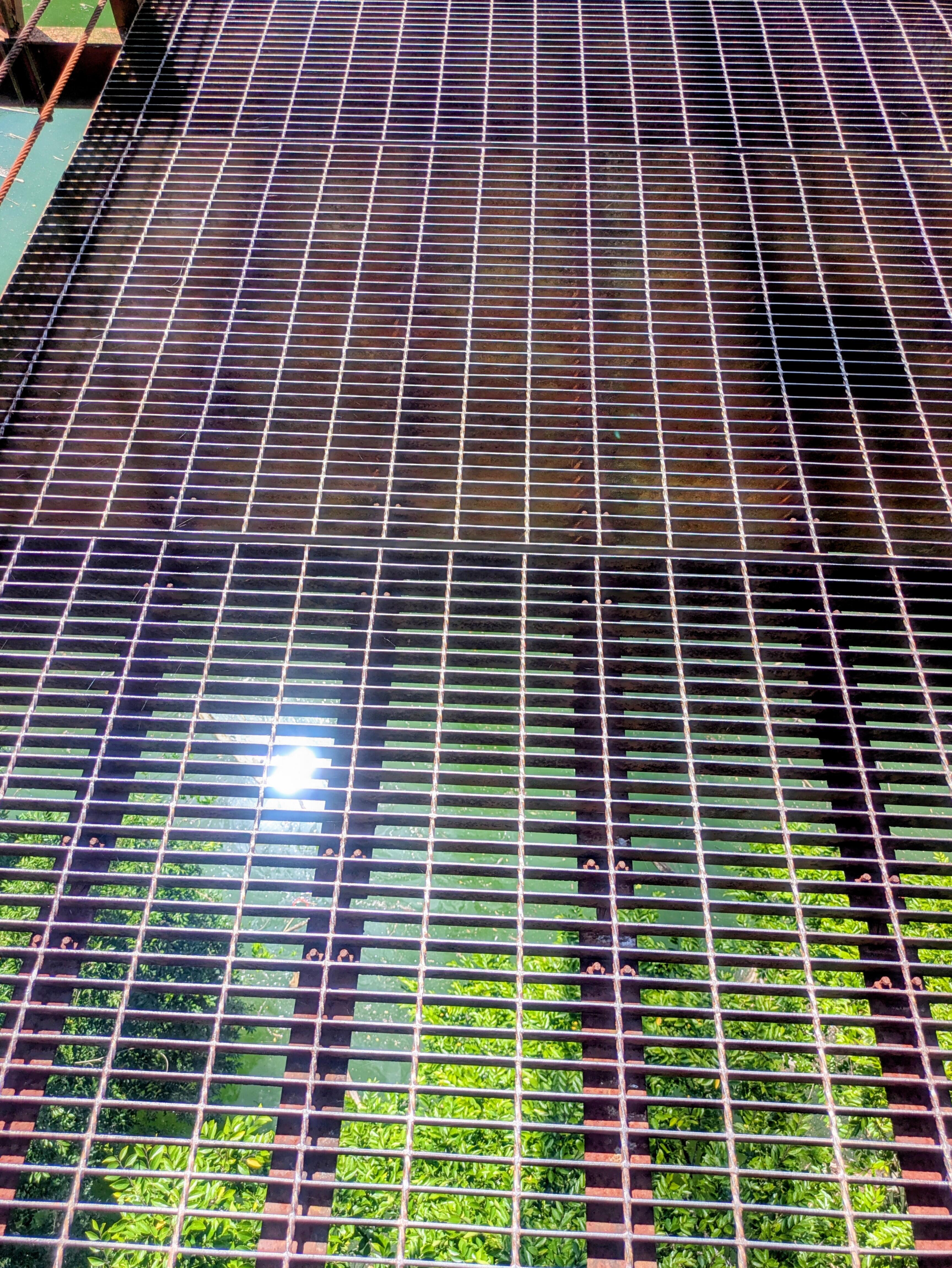 20250927_oishi01.jpg