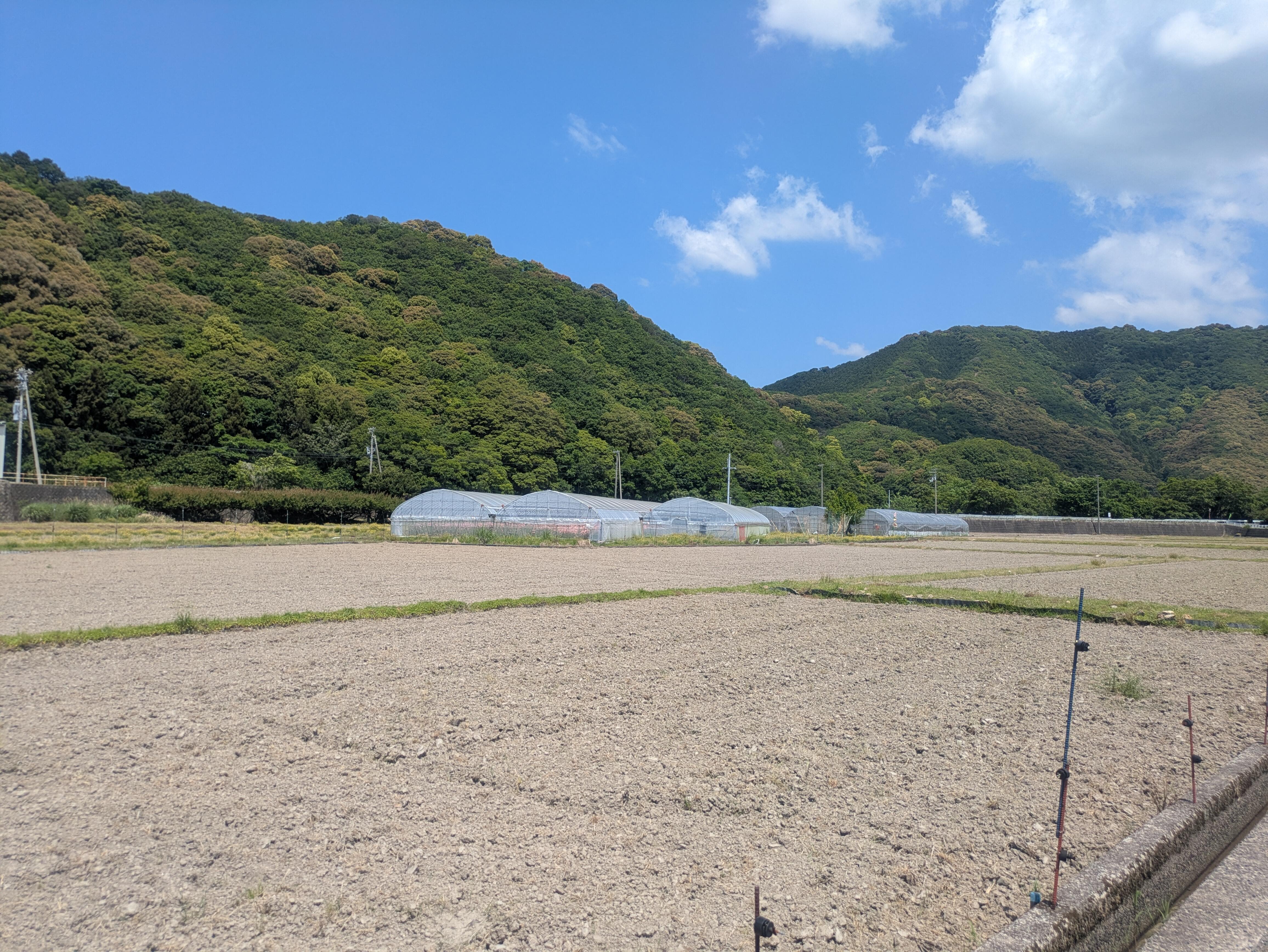 20260517_hana07.jpg
