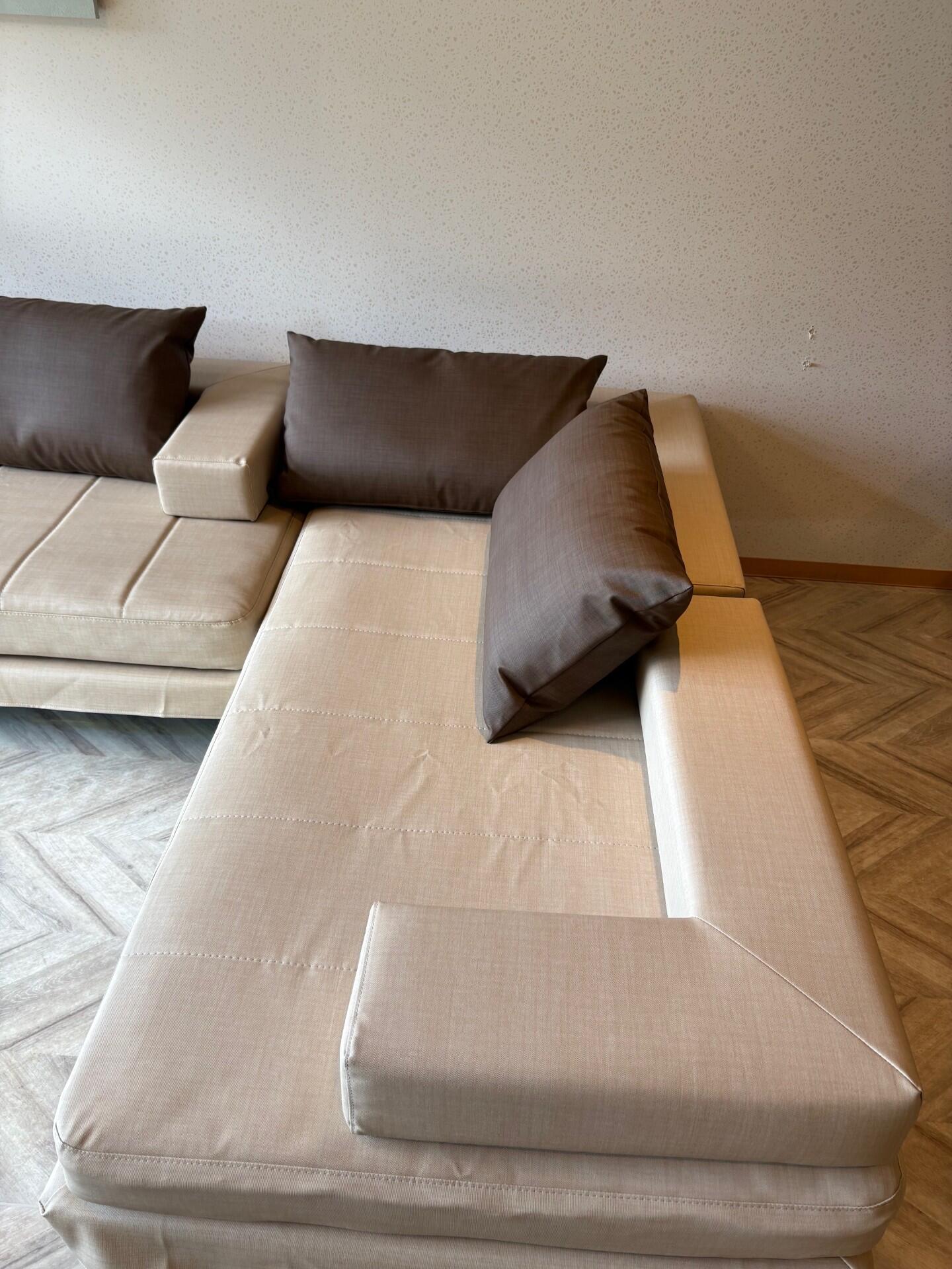 shinsofa1.jpg