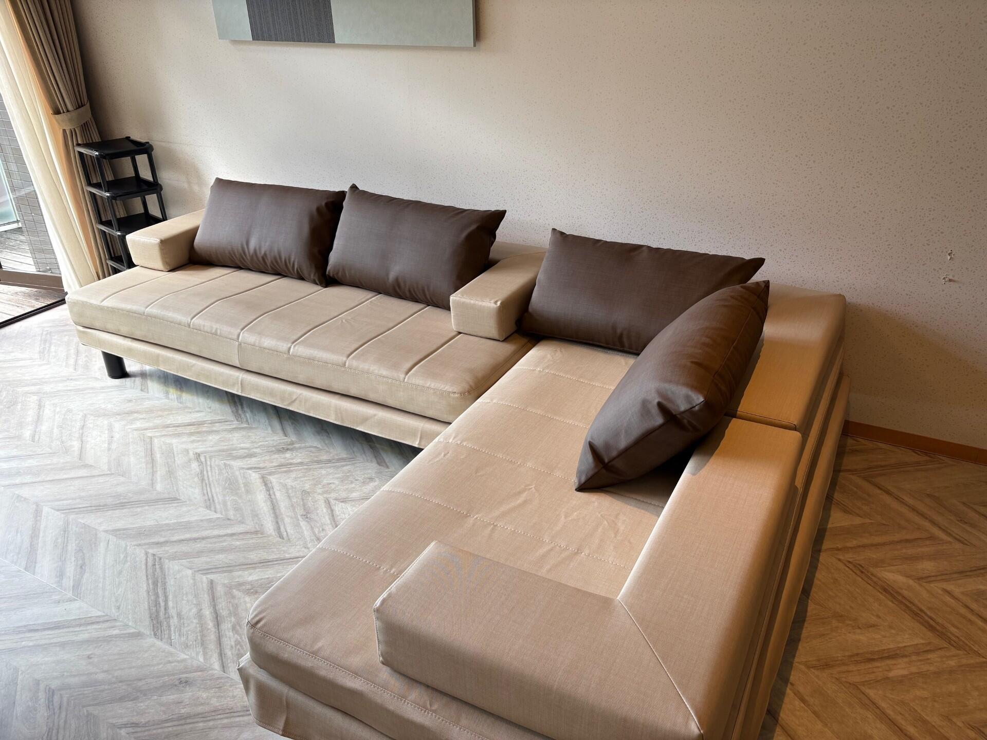 shinsofa2.jpg