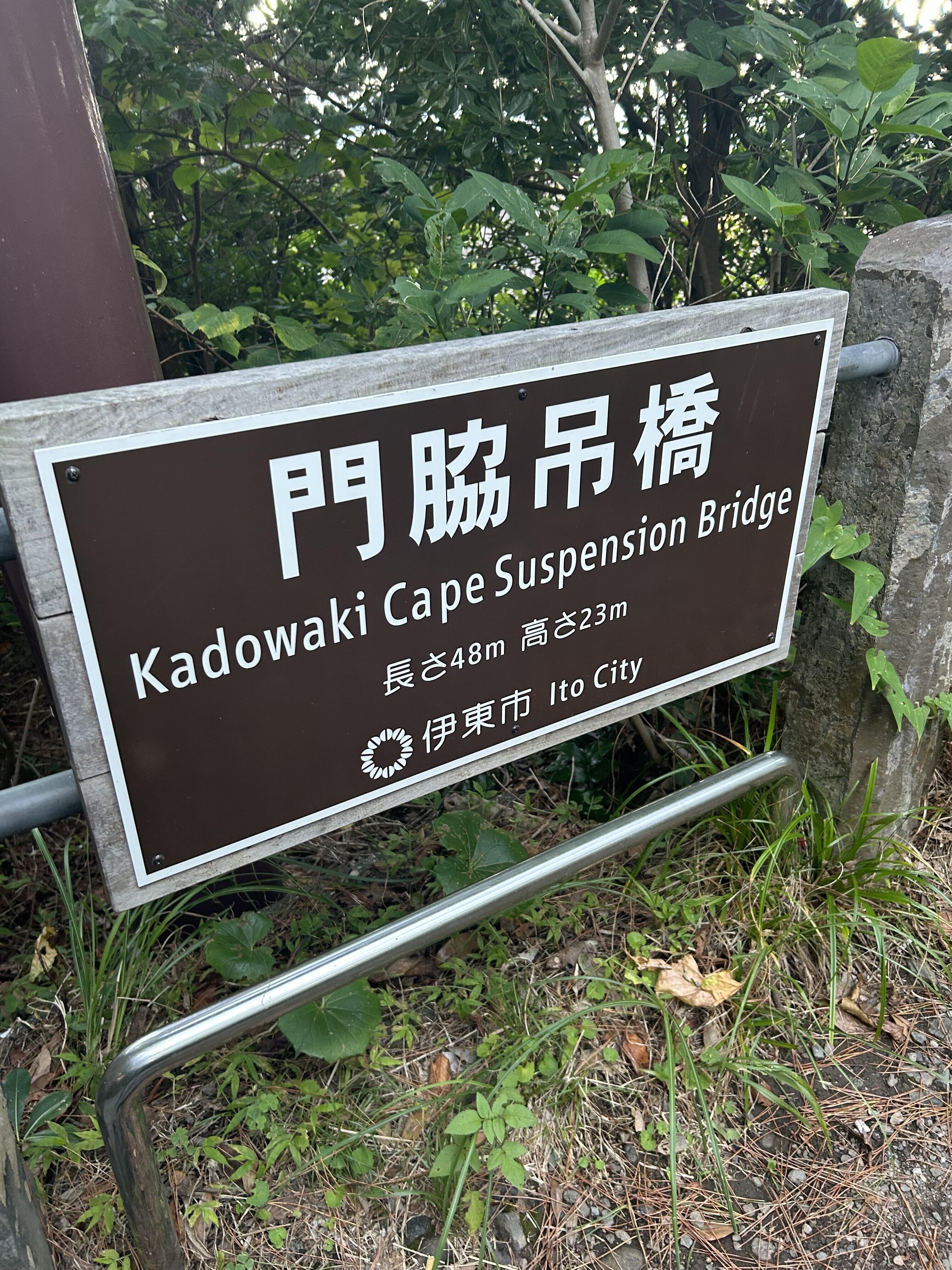 IMG_0826.jpeg