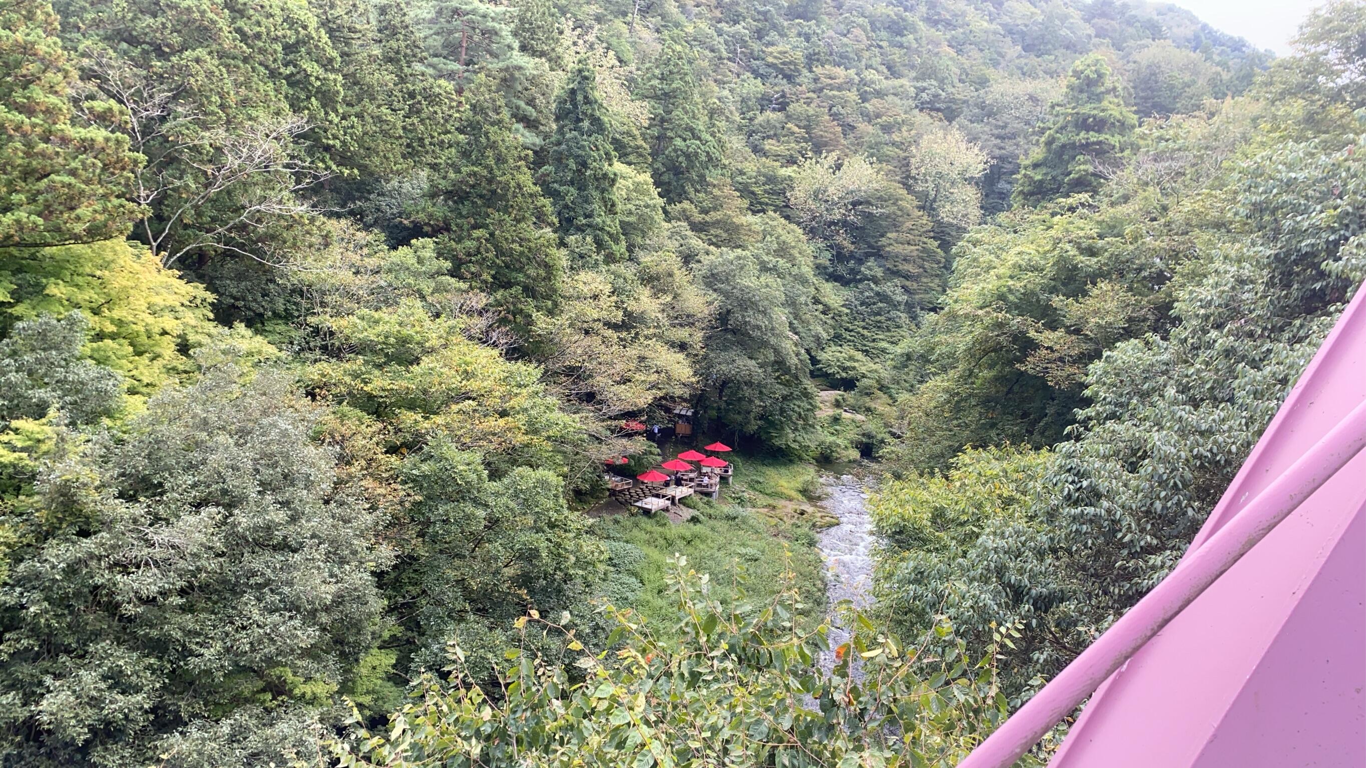 20251016kagayamanaka5.JPG