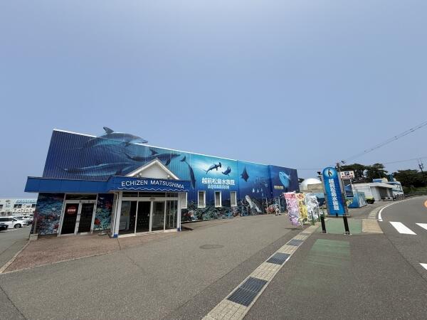 matsushima01600.jpg