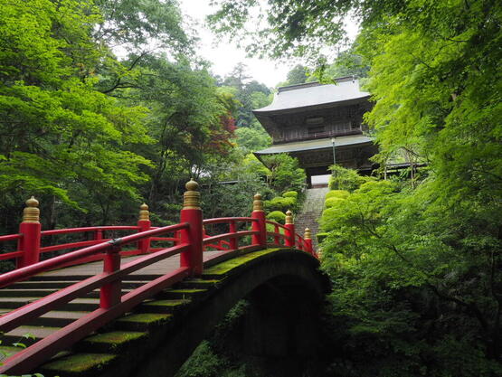 250703unganji_tajima1.JPG