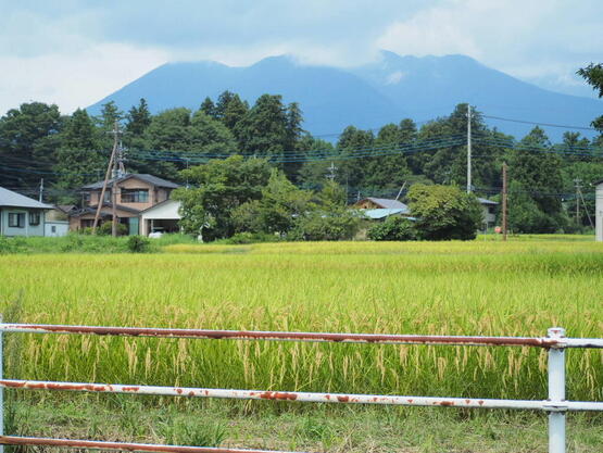 250909pvns_panpasu.JPG