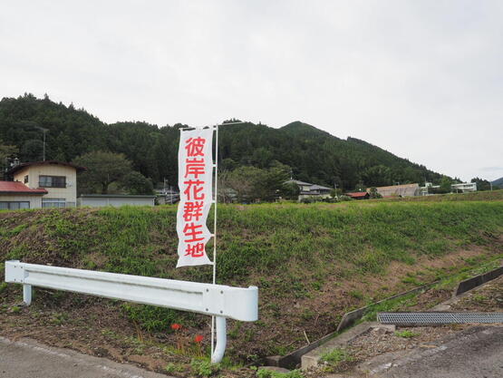 250922pvns_higan4.JPG