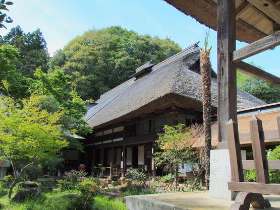 2604pvns_daioji.jpg