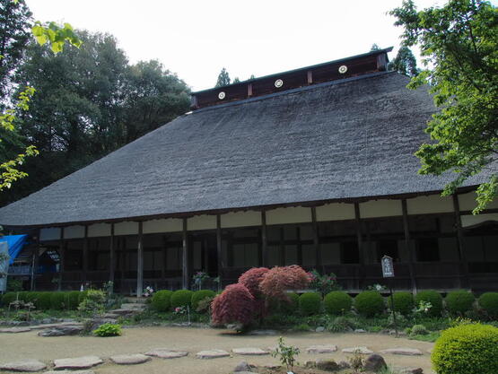 2604pvns_daioji2.jpg