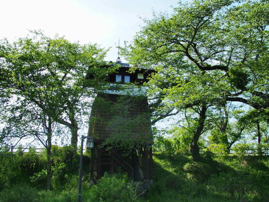2604pvns_daioji3.jpg