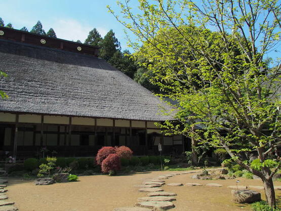 2604pvns_daioji4.jpg