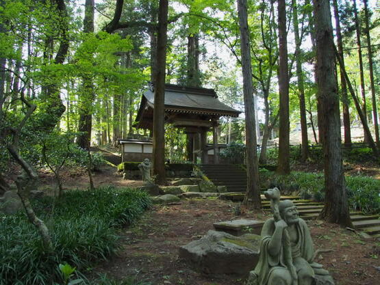 2604pvns_daioji7.jpg