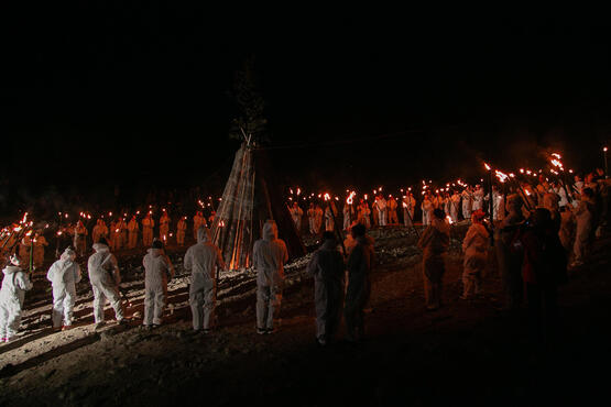 2605pvna_gojin1.jpg