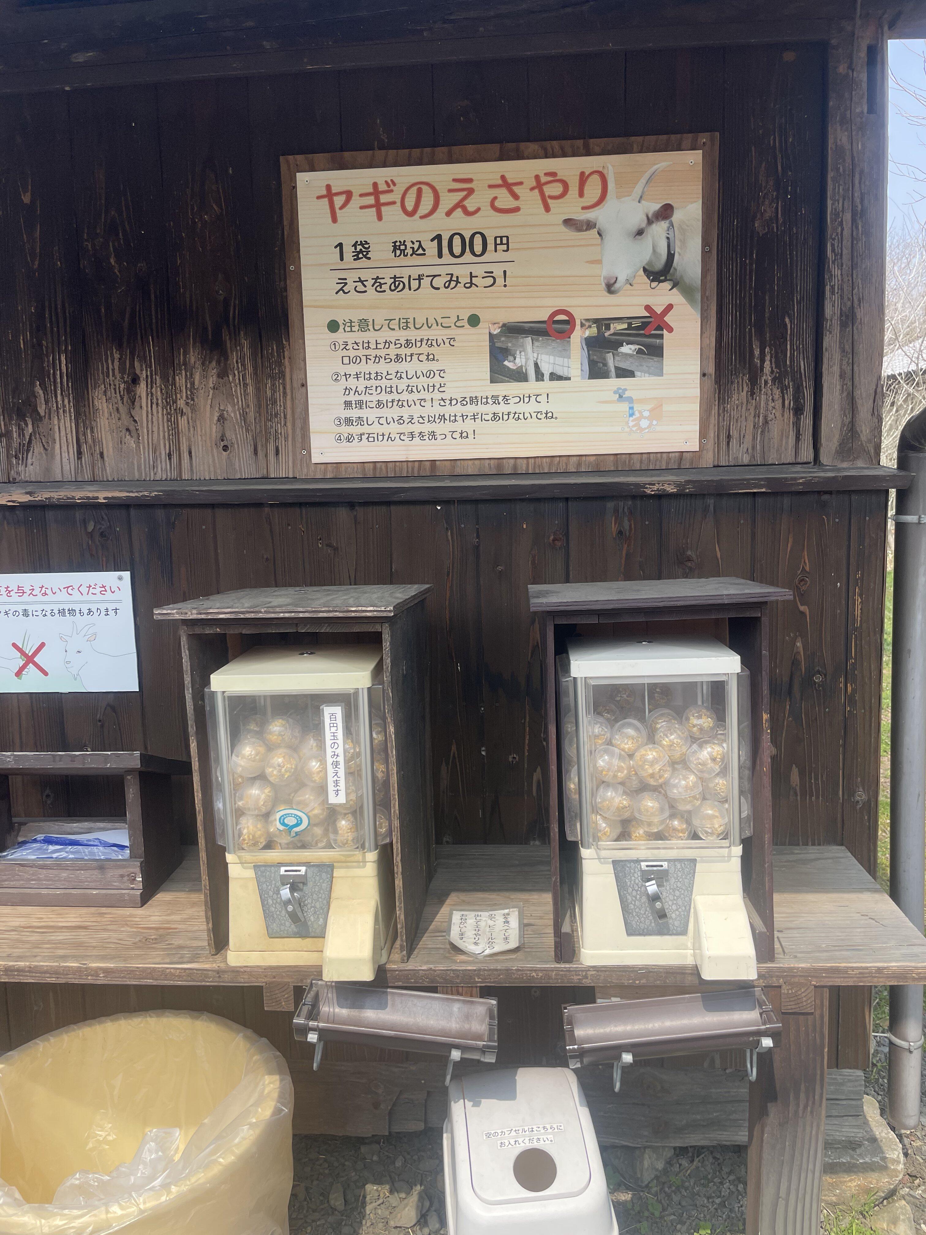 20260410_sunai_yagi.jpg