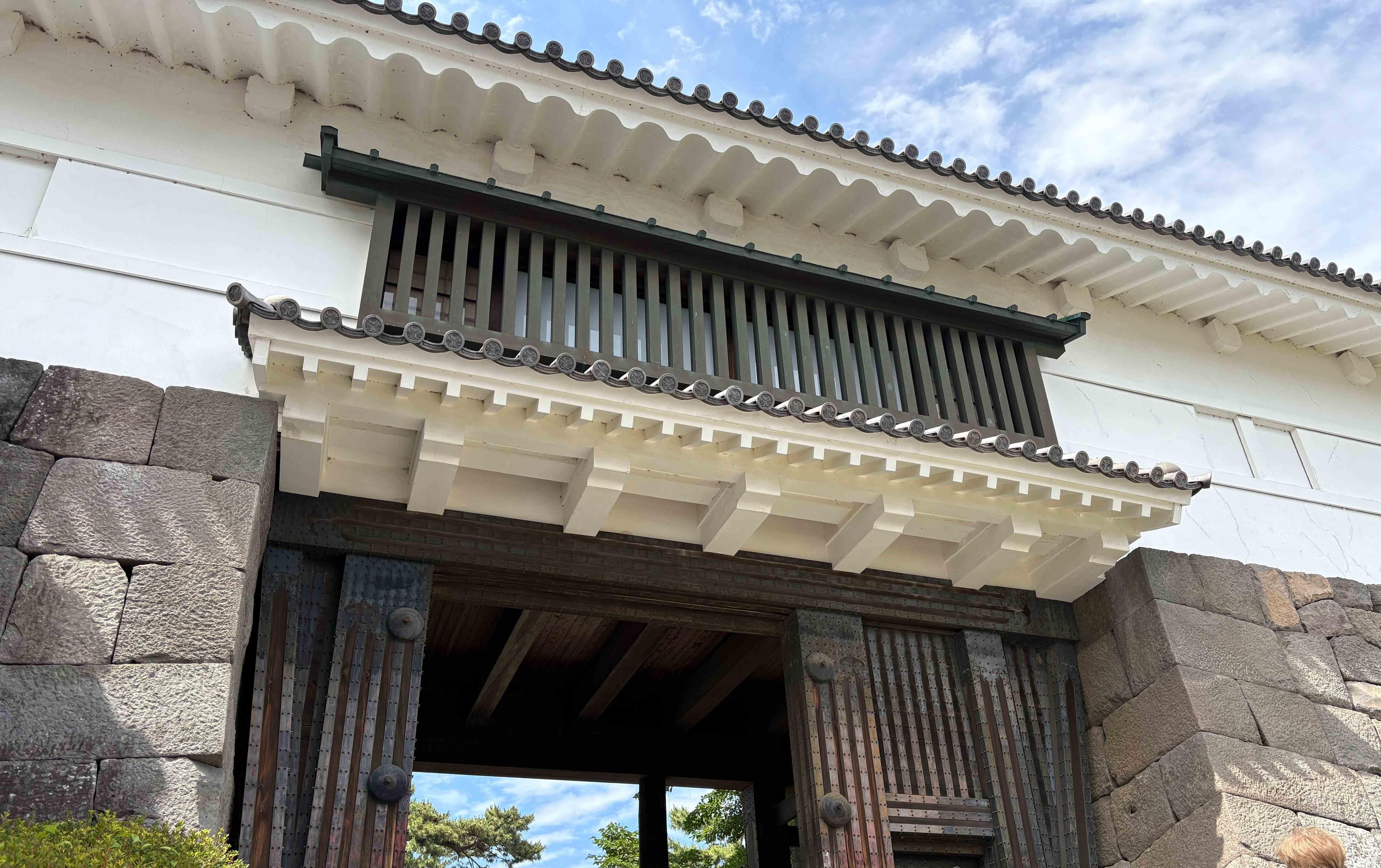 520260604odawara.jpg