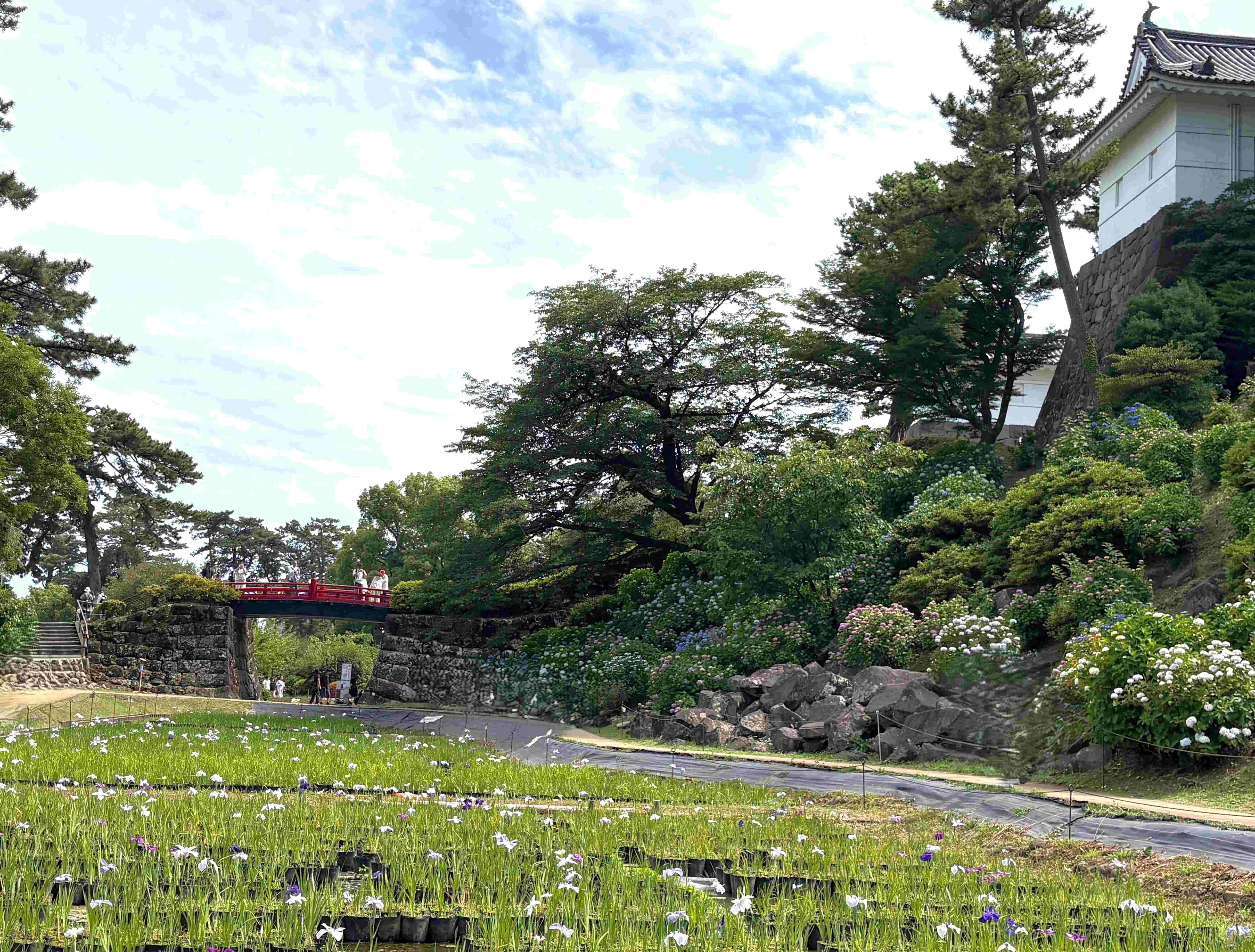 620260604odawara.jpg